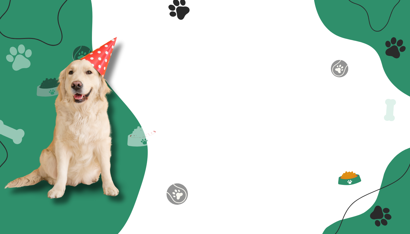 PetWeiler Dog Accessories