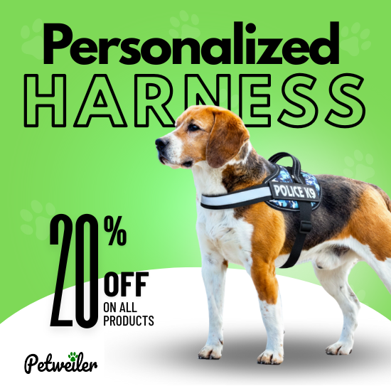 PetWeiler Personalized Dog Harness