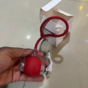 PetWeiler Pet Toy Ball