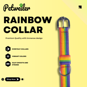 Alternative view of PetWeiler Rainbow Dog Collar – Adjustable Nylon Pet Collar for Dogs & Puppies | Strong Metal Buckle, Soft & Durable Everyday Collar