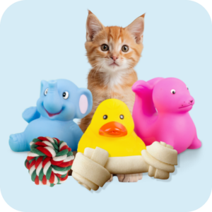 Pet Toys